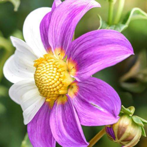  بیا دستمو بگیر نه نه پس نبضمو بگیر اوه نه نه