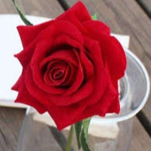 ناشناس بچگی و قلک و عیدی به یادم میاره