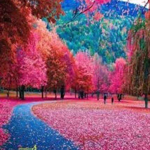  صبرم زیاده اما عمری نمونده باقی