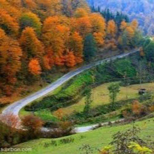  اگه از مستای شب خوندن آواز و بگیرن چی میمونه