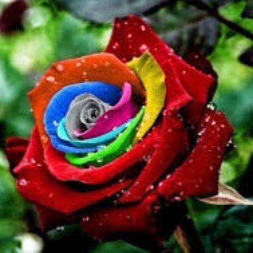 ناشناس ناز اون بلای اون حسرت دل عذاب عالم