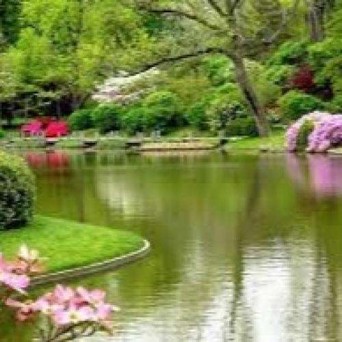 ناشناس یه امشب شب عشقه همین امشبو داریم