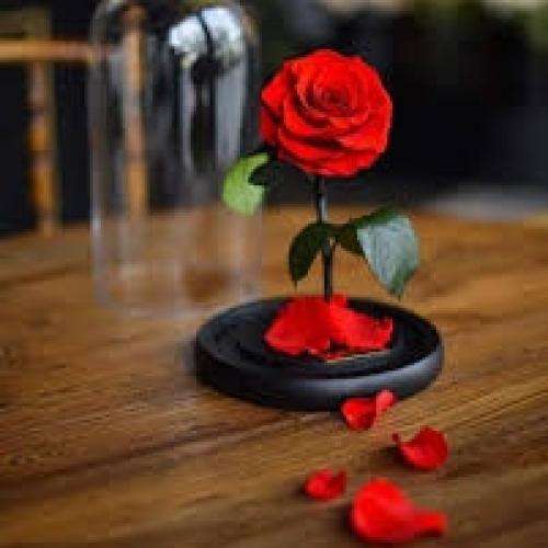 ناشناس فدای چشمات میشم وقتی نگات با منه