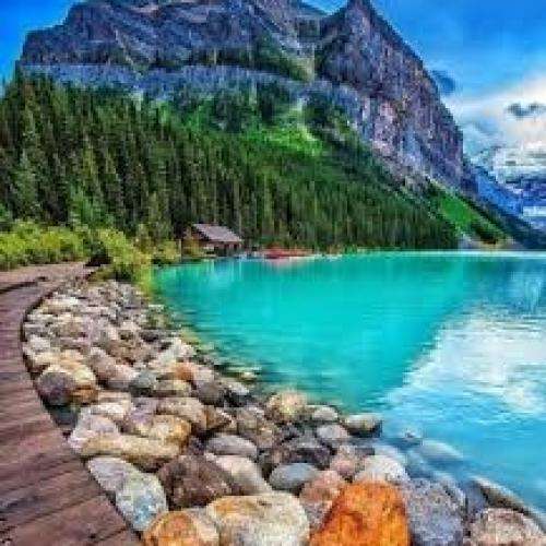  گمونم به کام تو هم ریخته زهر جدایی