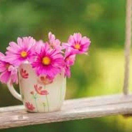 ناشناس عشق اگه روز ازل در دل دیوانه نبود