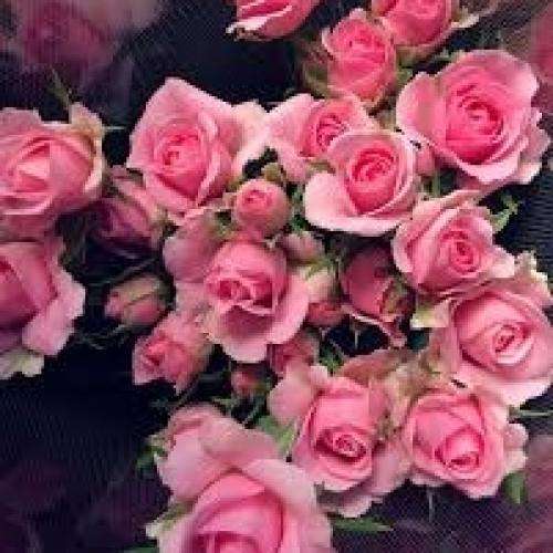 ناشناس خدایا توی دنیای بزرگت پوسیدیم که میخواستیم