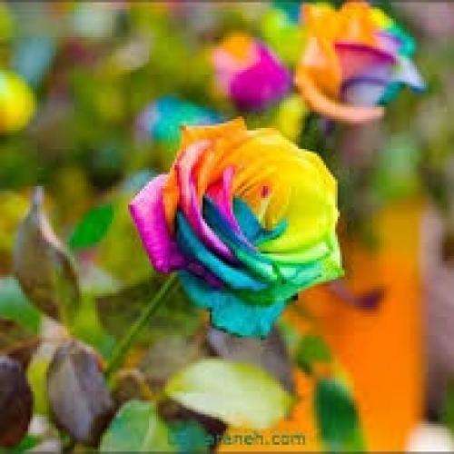  اسم تو وقتی تو شعر و تو ترانم میومد
