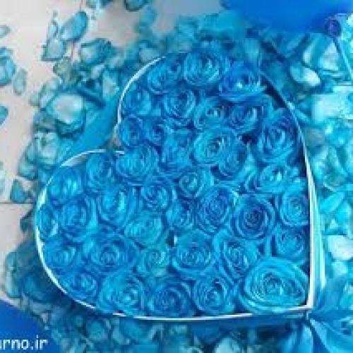  میدونستی غزل و شعر و سخن عاشقته