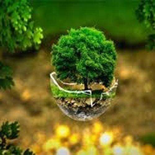  اون عاشقا که مردن این عشق سینه سوزو