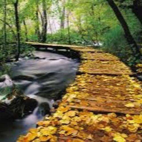  بی تو هر شب غمتو به خلوت خودم می بردم