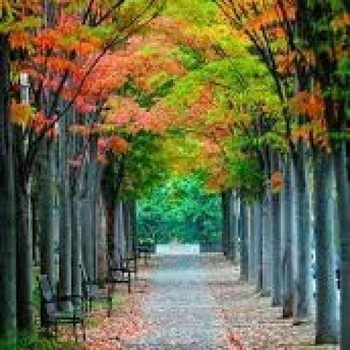 ناشناس سر هر کوی و گذر این همه میخانه نبود