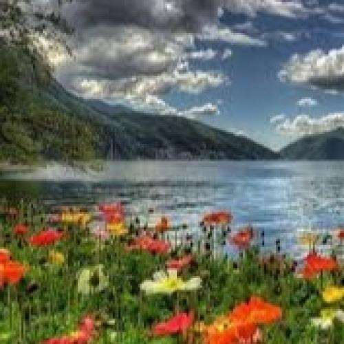  بزن تار بزن تا بخونم با تو آواز بی خریدار