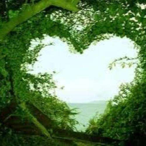 ناشناس سر به روی شانه های مهربانت میگذارم