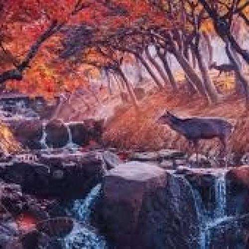 ناشناس بی تو تو دنیا یه شب خواب خوش عشقو ندیده