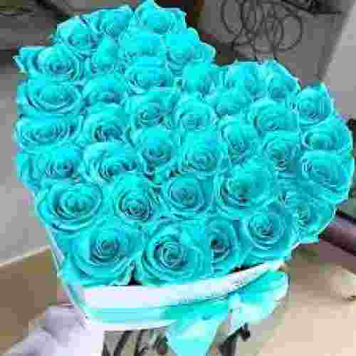  تو از حال یه عاشق آخه هیچی نمی دونی