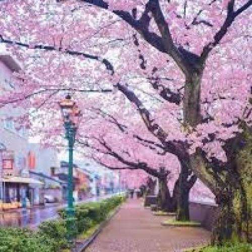 ناشناس نفرین به هر چی عشقه میخوام عاشق نباشم