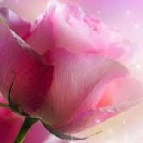  ای تو هوای هر نفس عشق تو میورزم و بس