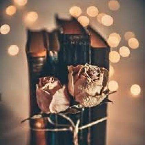 ناشناس عروسک جون تو میدونی چه حسرتها کشیدیم