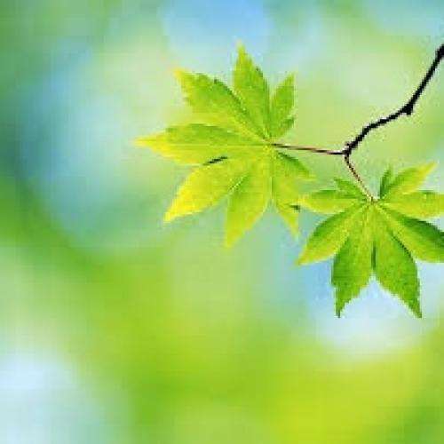  وقتی که به من میگی جون من بسته به جونت