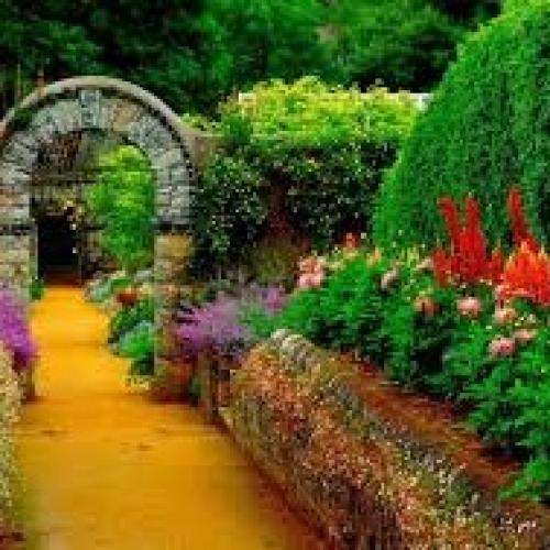 ناشناس واسه ترانه خوندن بذار فریاد باشم الهی الهی