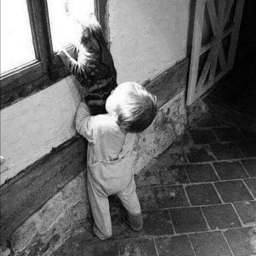 با سردخونه های پُر با خشم ما چه میکنی