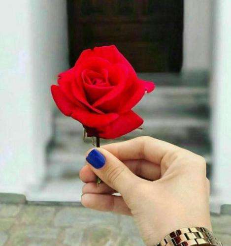  اینگونه شدش که من به دروغ رسیدم