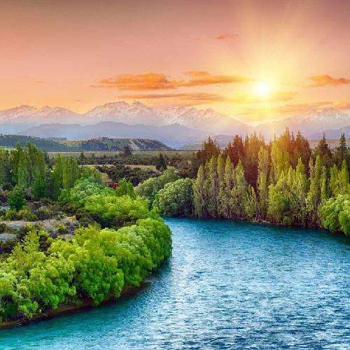 آرمین برمایه و پوریا محمدی زیر تیغ