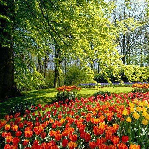 مهیار خلیل زاده ازهمه بهتر دا کوهی کوتر دا