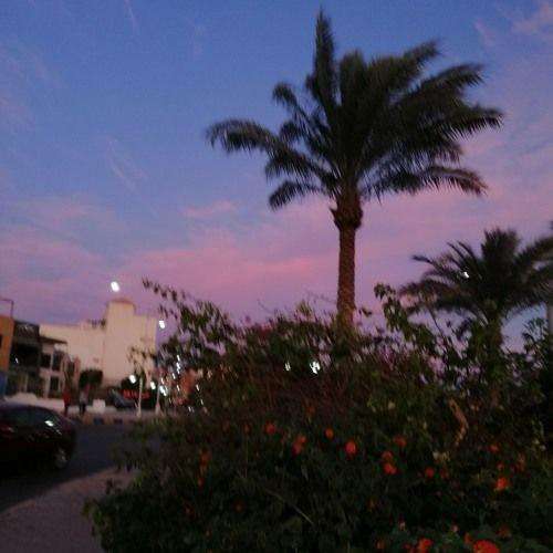 میخوام برم نقطه شم که دیگه دستکسی نرسه به من اصلا