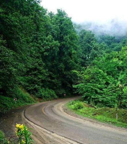 نگار بابلی جان یار