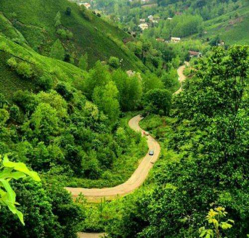  ای همیشگی ترین عشق در حضور حضرت تو