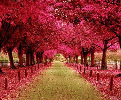  بازی کردی با قلبم بد دادی تو فریبم با صدای پسر
