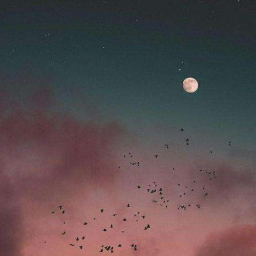  اخه تو زندگیت بگو چیم خب