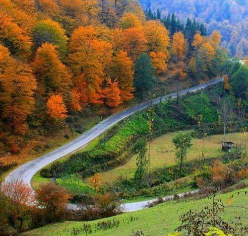  مداحی حمید رخشنده برای فوت همسرش