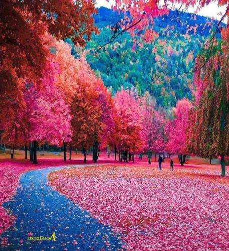 شهاب بیرانوند خزون درد