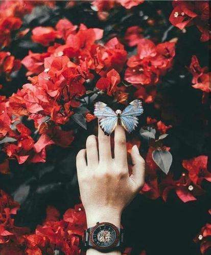 صدای دختر کاشکی نسرین گیان او ساته کور بیام