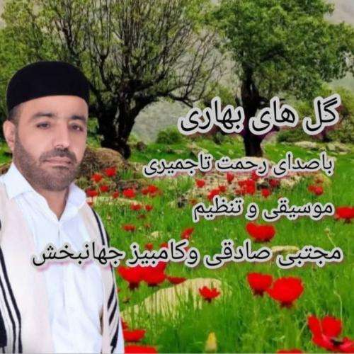 رحمت تاجمیری گلهای بهاری