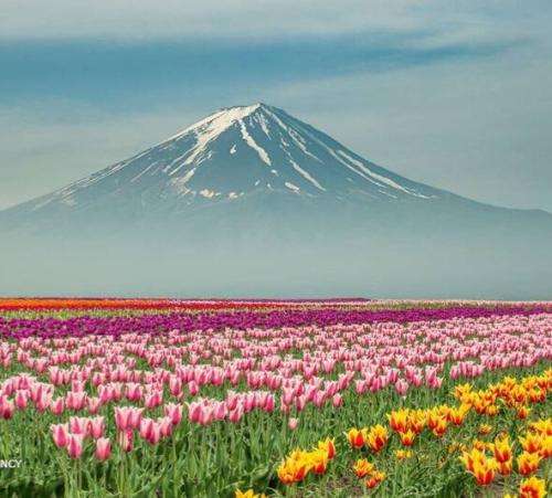  سلامتی چشمات 40 بار میزنیم به هم