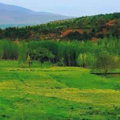 امید عقابی صداش چشاش هواش مال من