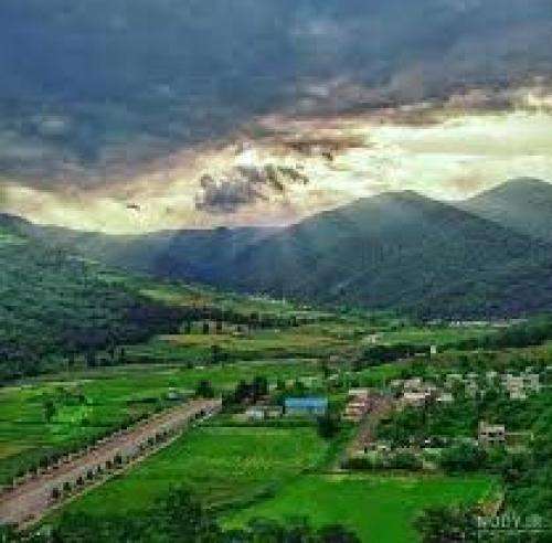 ابی عالی و مجید احمدی و سعید علیزاده گیتاری 2