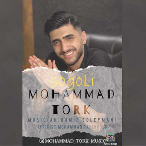 محمد ترک سوگلی