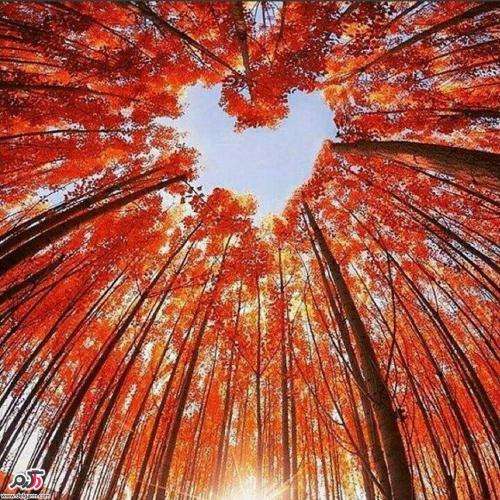  چشمی به هم زدیم و دنیا گذشت
