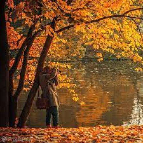 شاهین مظهری دس مه بیر