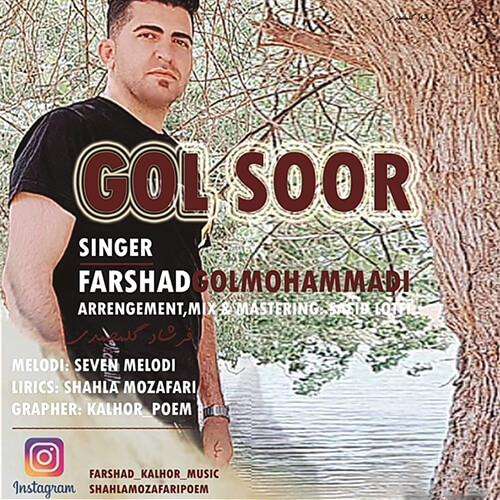  فرشاد گل محمدی گل سور
