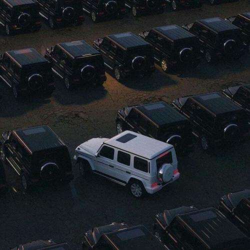 قاسم جوانبخت برگرد