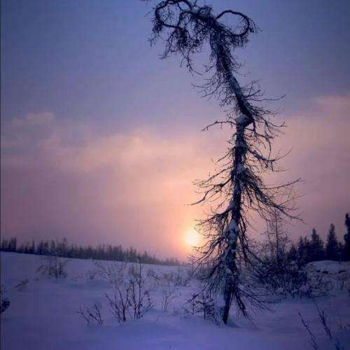  به من نخندین آدمای خوشبخت