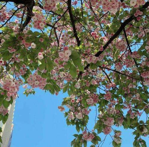  جان مریم چشماتو وا کن با صدای زن