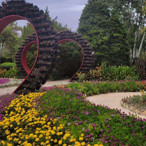  دردونمی گل توی گلدونمی تاج سری