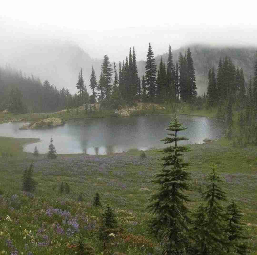  کی مثل تو پایمه دوتایی گند بزنیم