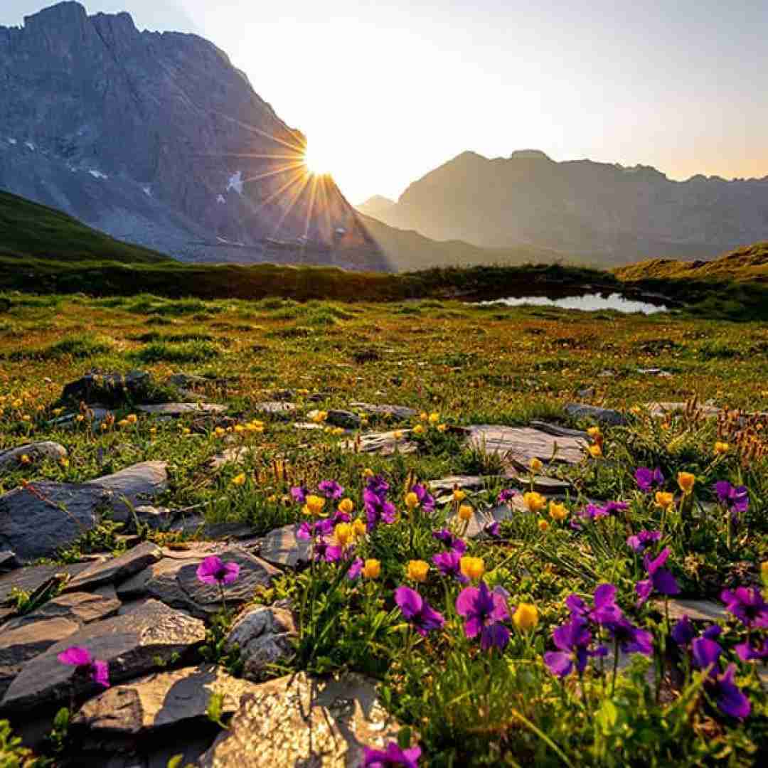  شبی تاریک با برف و باران دلم مینالد هی